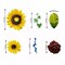 Yellow SILK Sunflowers Burgundy Foam Roses Faux FLOWER BOX Party Events Supplies